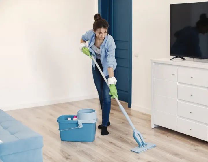 Femme de ménage Dry
